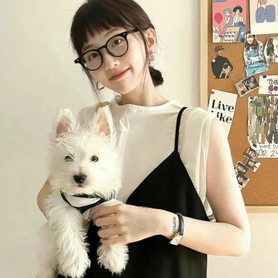 归去来2018